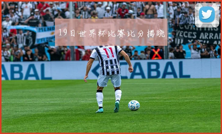19日世界杯比赛比分揭晓