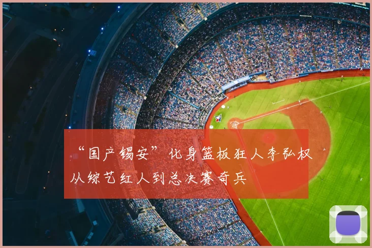 “国产锡安”化身篮板狂人李弘权从综艺红人到总决赛奇兵