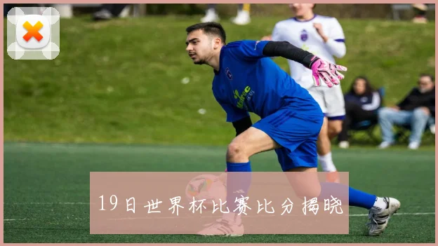 19日世界杯比赛比分揭晓