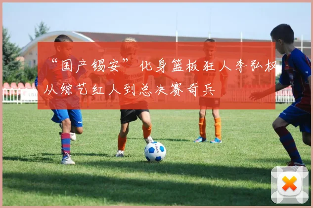“国产锡安”化身篮板狂人李弘权从综艺红人到总决赛奇兵