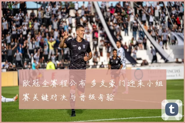 欧冠全赛程公布 多支豪门迎来小组赛关键对决与晋级考验