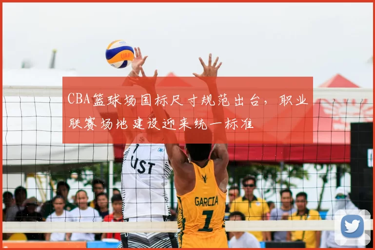 CBA篮球场国标尺寸规范出台，职业联赛场地建设迎来统一标准