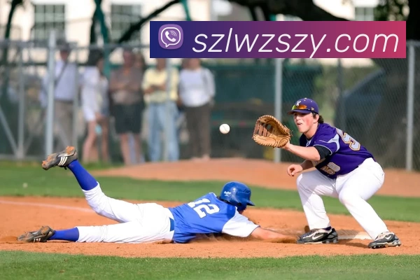 App Interface Preview